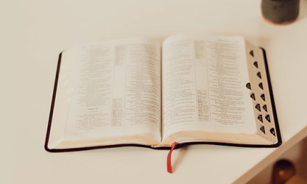 Cómo leer los Salmos