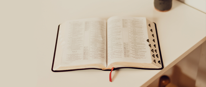 Cómo leer los Salmos